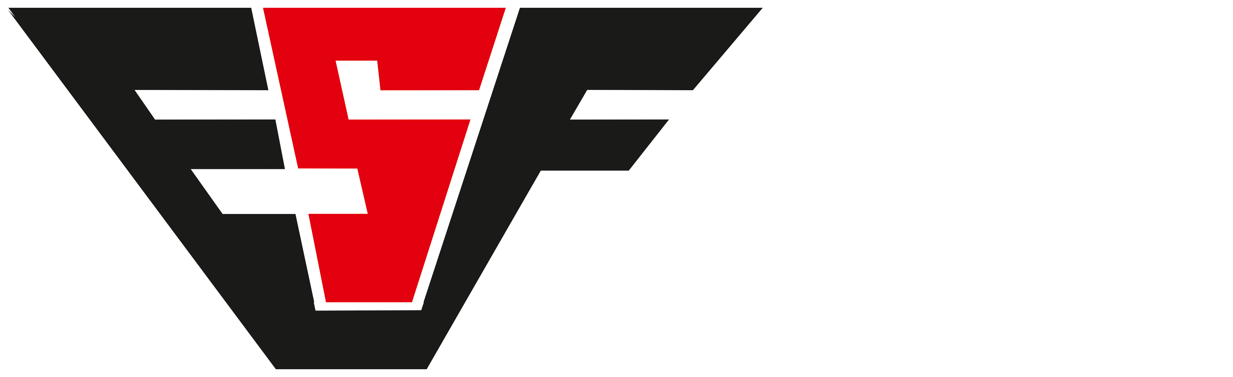 ESF Electric Scooters by Force