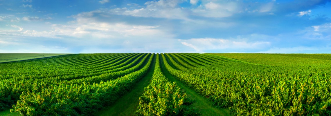 Τα ηλεκτροκίνητα αυτοκίνητα αλλάζουν το σκηνικό στον αγροτικό τομέα!